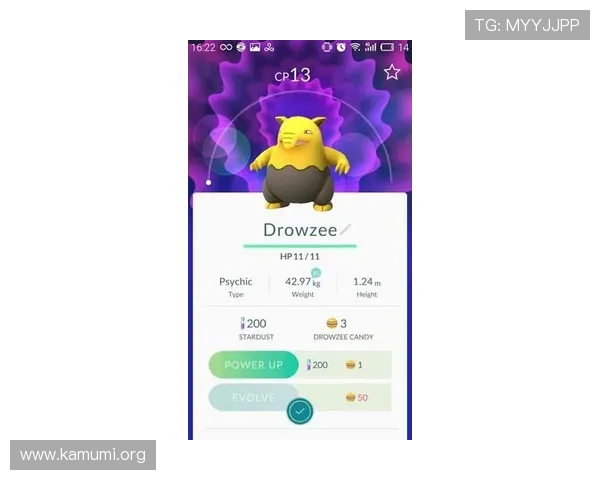 万博体育官方登录：常见问题与解决方案全攻略