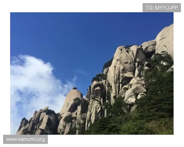 万博官方manbext30平台的优惠活动与返水政策详细解析