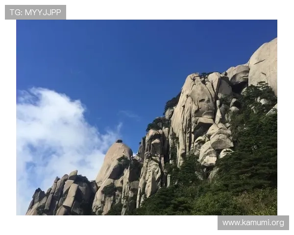 万博平台下载 安卓版操作流程及常见问题解决方案 万博平台下载 安卓版操作流程及常见问题解决方案
