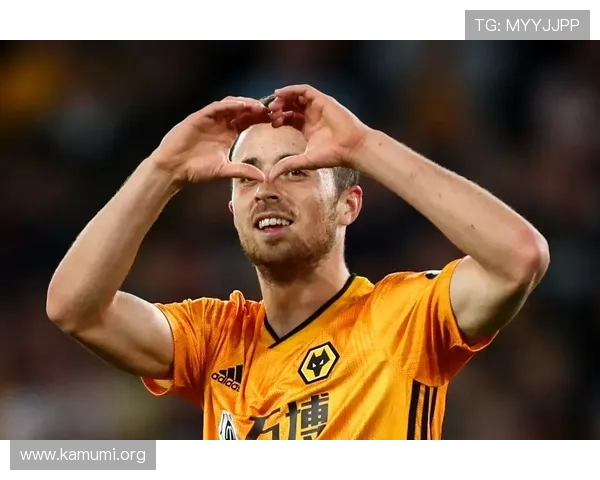 万博狼队历史回顾与未来发展规划,足球迷必读的精彩内容 万博狼队历史回顾与未来发展规划,足球迷必读的精彩内容