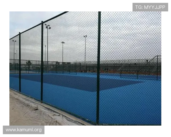 博友体育打造一站式体育社区平台满足用户多样化需求