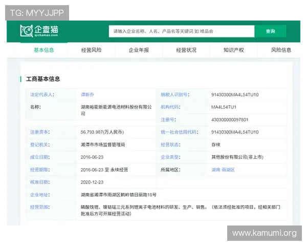 浩瀚体育旗舰厅注册平台注册成功后如何快速进行资金充值与投注
